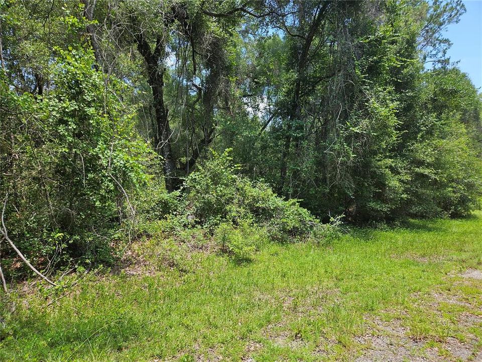 For Sale: $25,000 (0.69 acres)