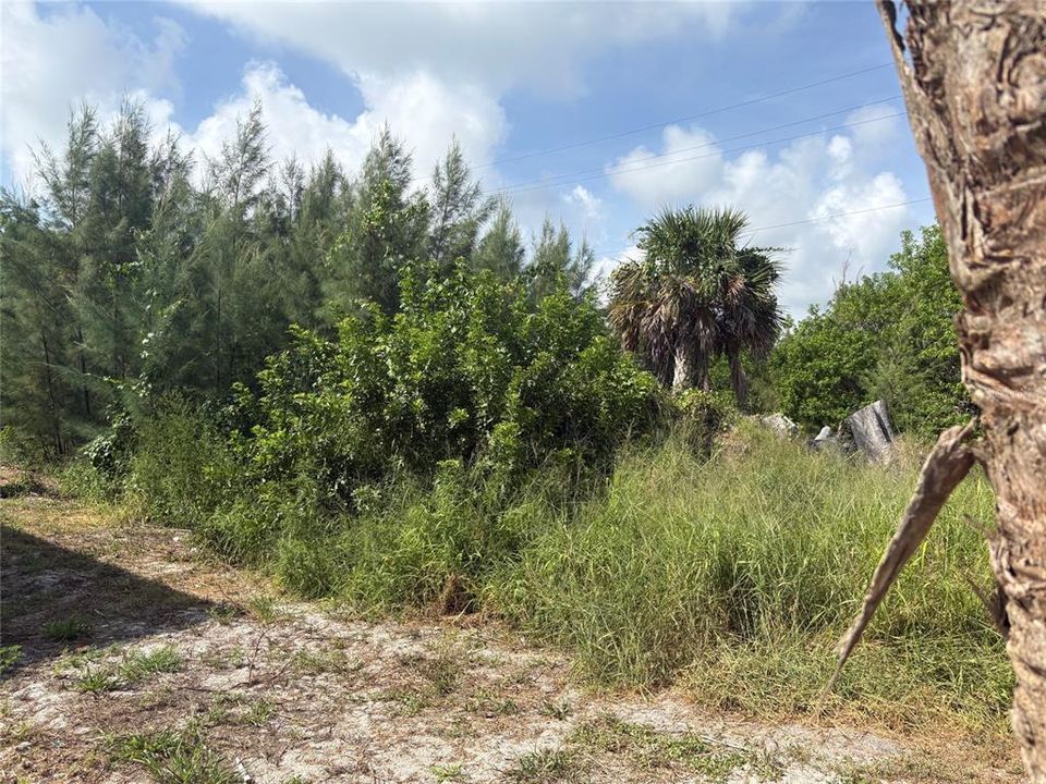 For Sale: $79,900 (0.12 acres)