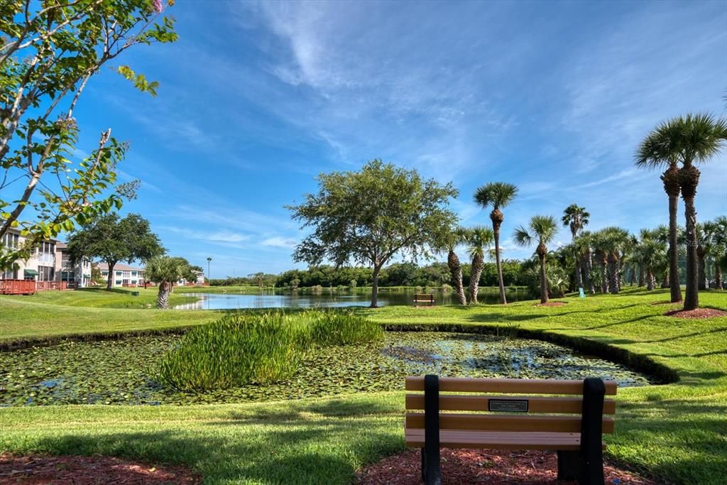 For Sale: $77,000 (1 beds, 1 baths, 790 Square Feet)