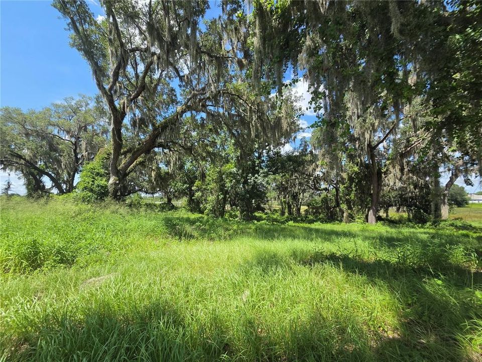 For Sale: $200,000 (4.12 acres)