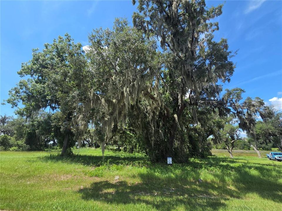 For Sale: $200,000 (4.12 acres)