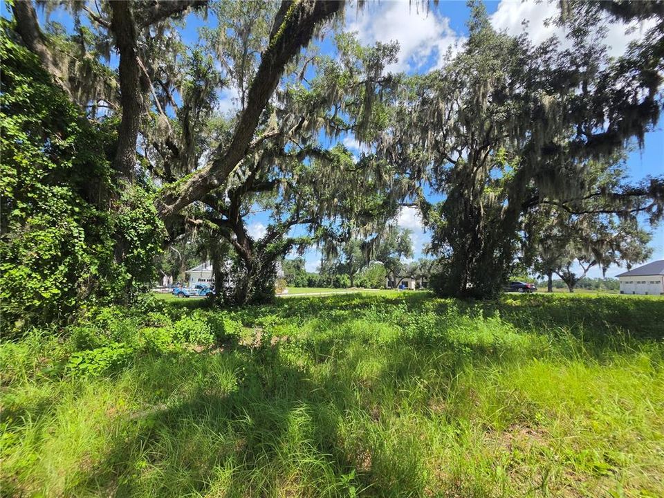 For Sale: $200,000 (4.12 acres)