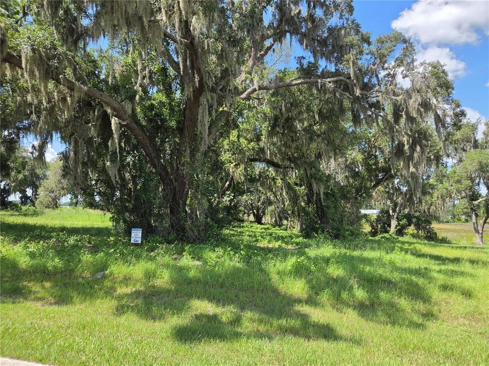 For Sale: $200,000 (4.12 acres)