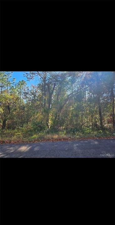 合同活跃: $46,000 (1.05 acres)