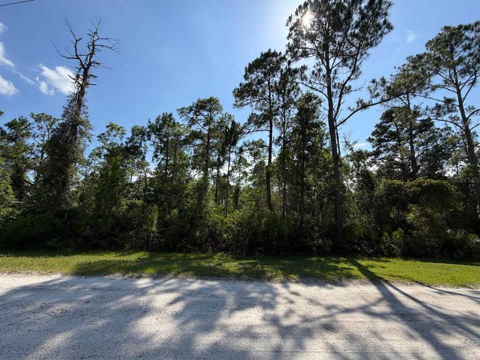 En Venta: $135,000 (11.07 acres)