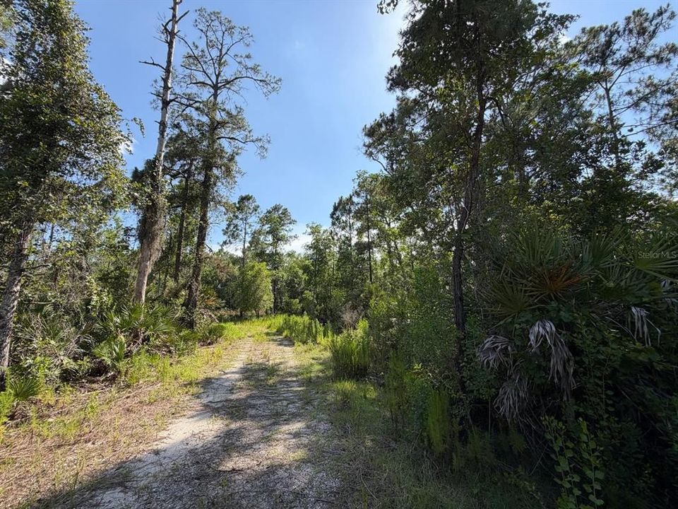 En Venta: $135,000 (11.07 acres)