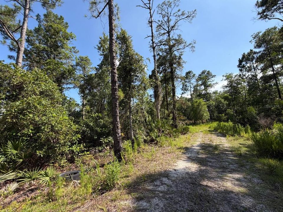 En Venta: $135,000 (11.07 acres)