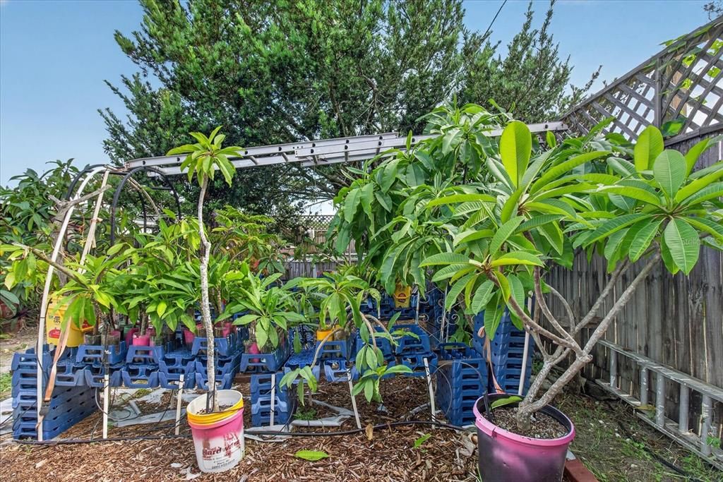 На продажу: $260,995 (3 спален, 1 ванн, 1285 Квадратных фут)