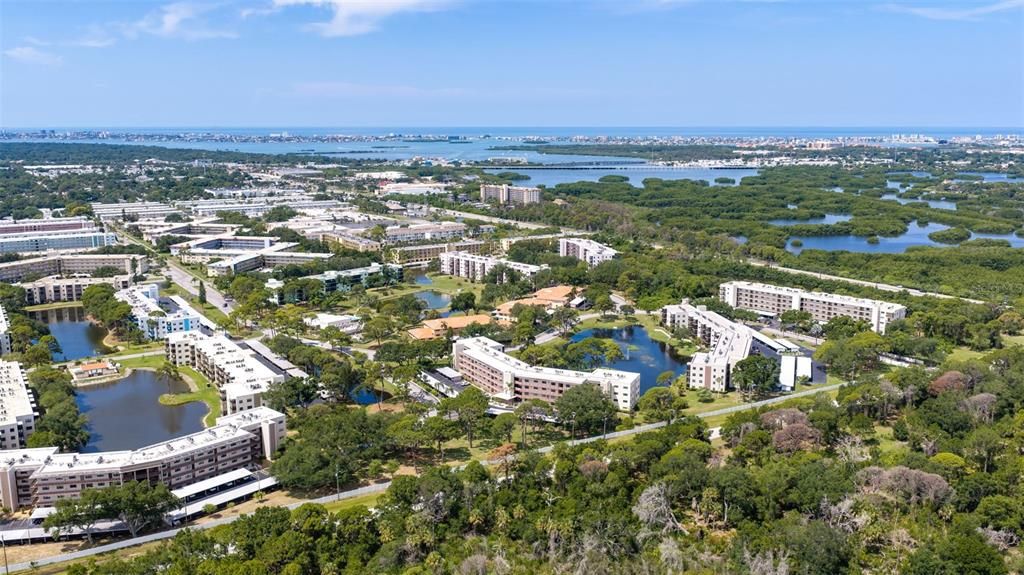 На продажу: $349,500 (2 спален, 2 ванн, 1735 Квадратных фут)