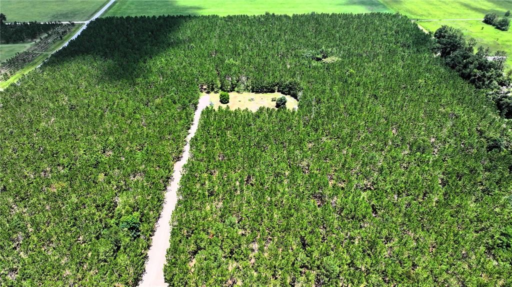 На продажу: $240,000 (15.00 acres)