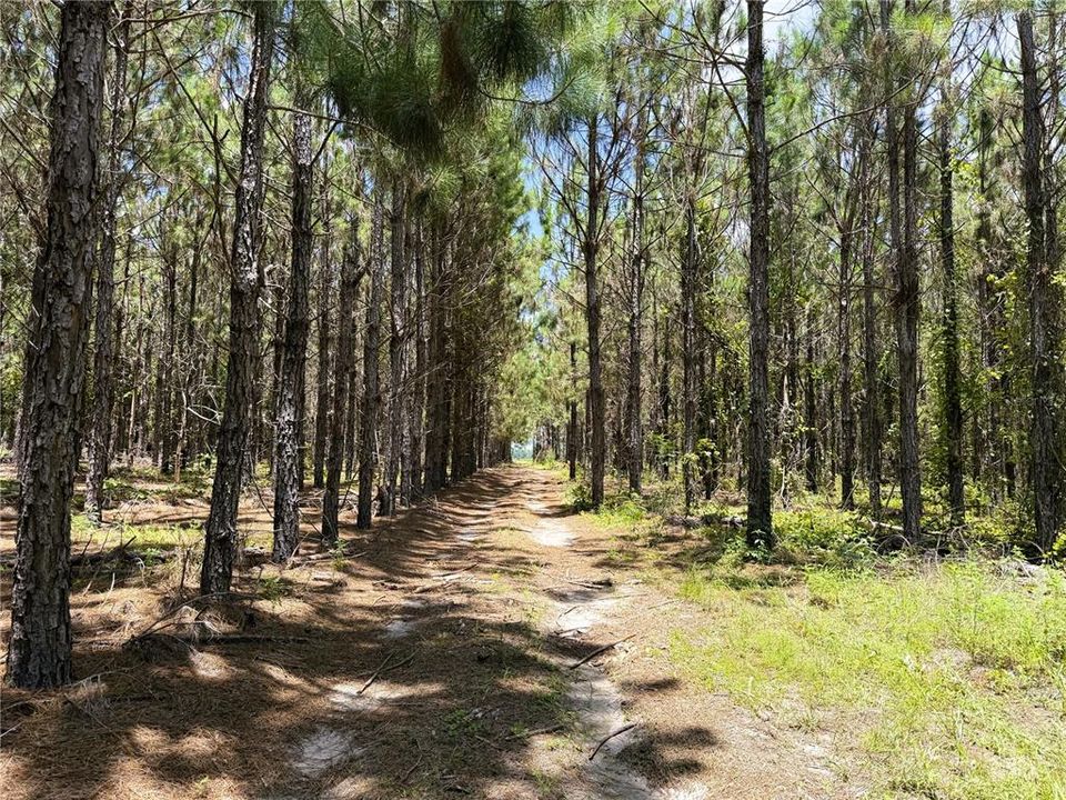 На продажу: $240,000 (15.00 acres)