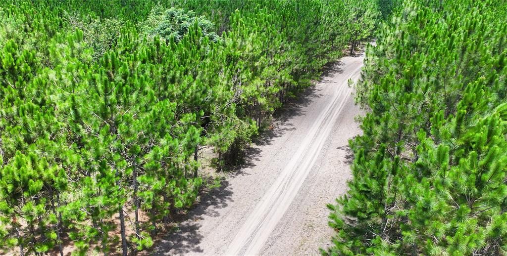 На продажу: $240,000 (15.00 acres)