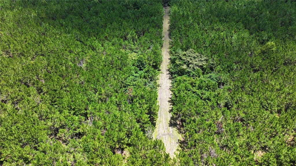 На продажу: $240,000 (15.00 acres)