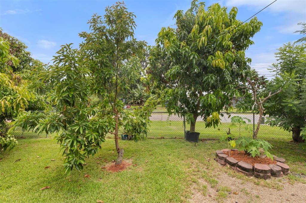 На продажу: $499,000 (3 спален, 1 ванн, 1469 Квадратных фут)