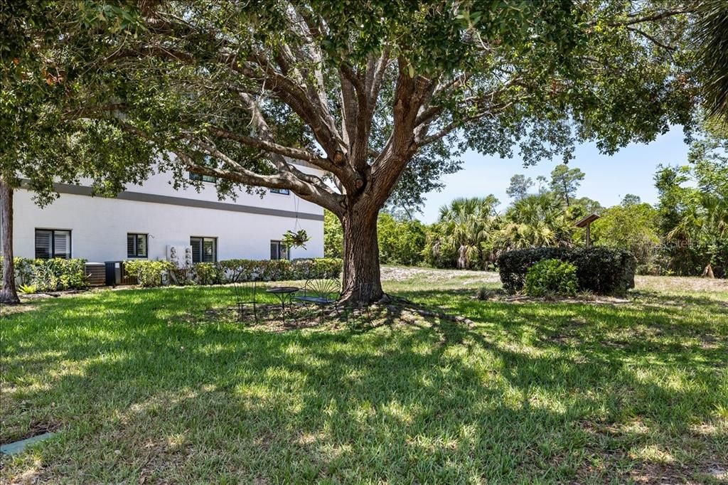 En Venta: $309,000 (2 camas, 2 baños, 1566 Pies cuadrados)