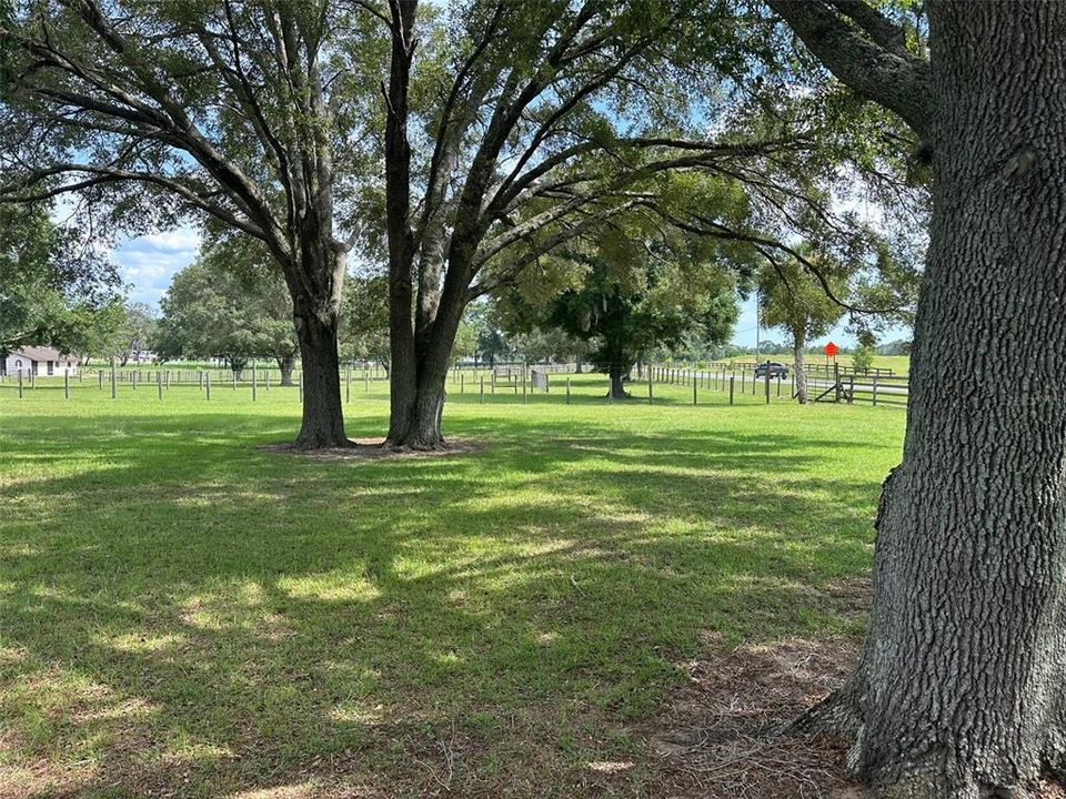 На продажу: $1,200,000 (6.10 acres)