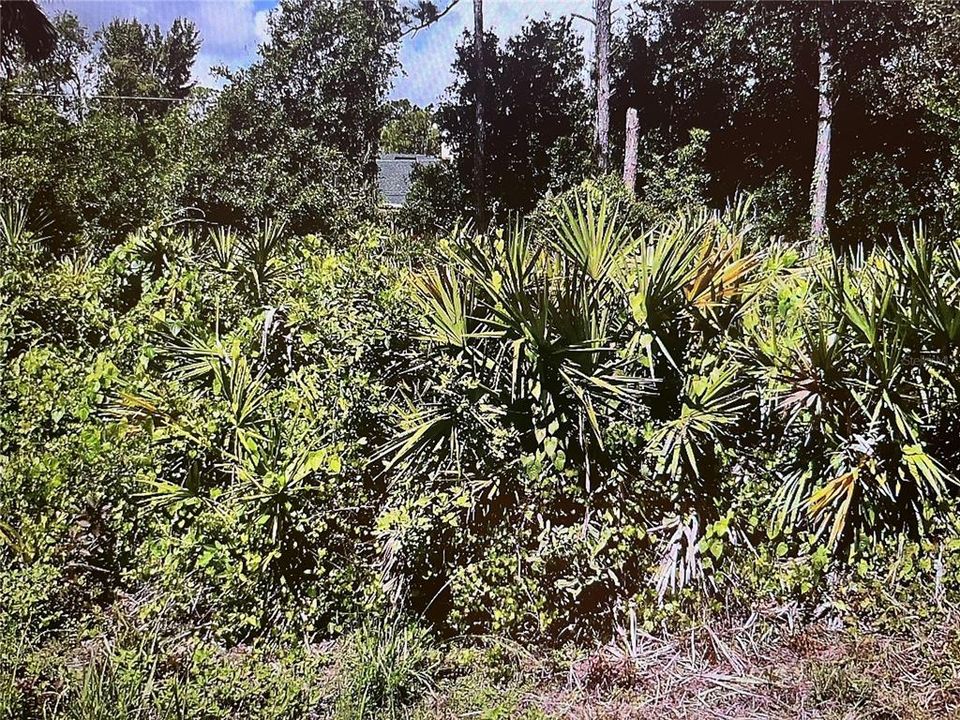 На продажу: $40,000 (0.22 acres)