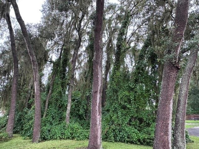 For Sale: $79,967 (0.36 acres)