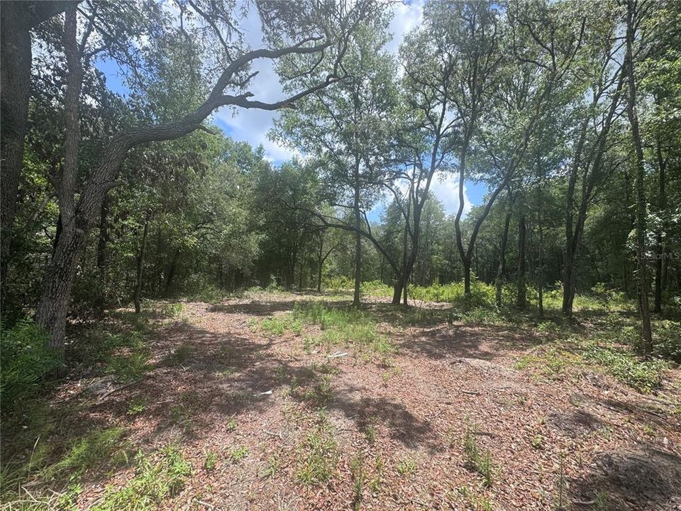 For Sale: $28,000 (1.00 acres)