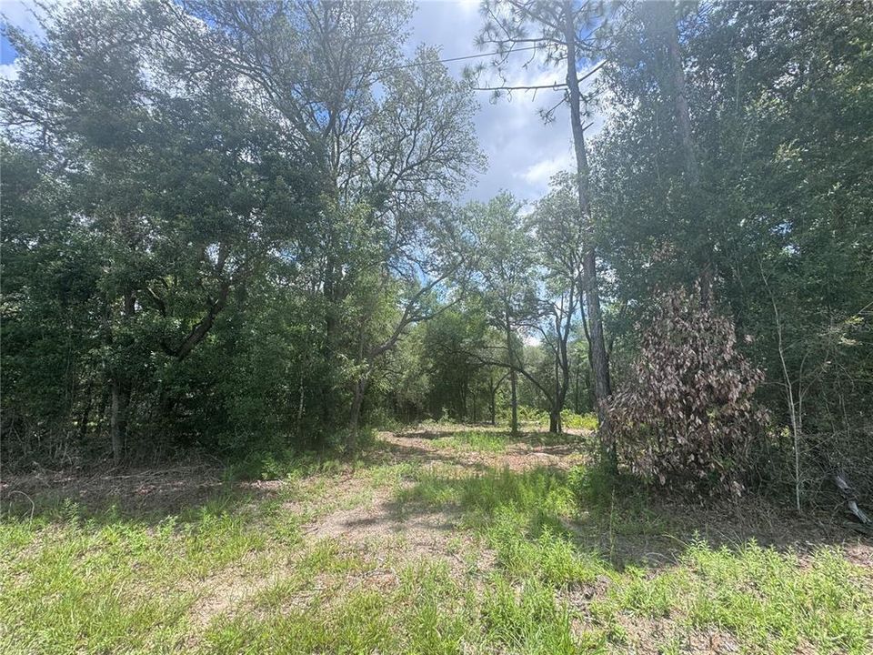 For Sale: $28,000 (1.00 acres)