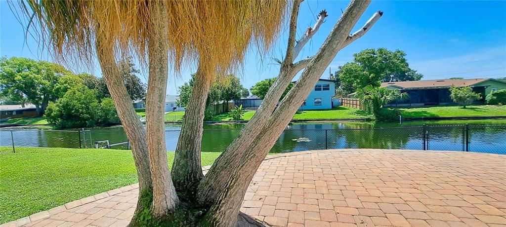 En Venta: $559,900 (3 camas, 2 baños, 1890 Pies cuadrados)