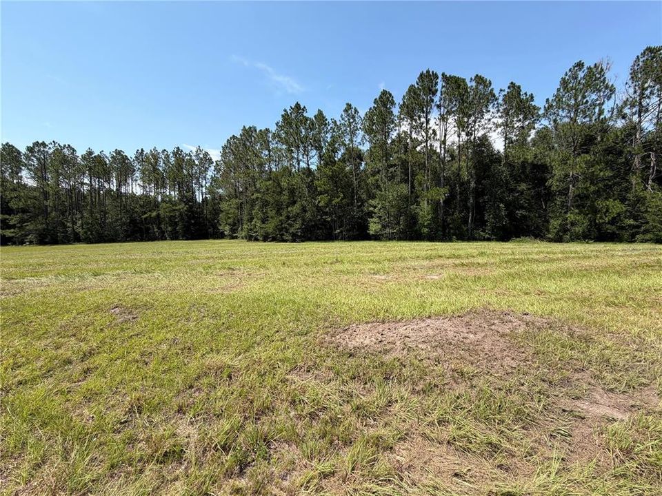 На продажу: $75,000 (3.04 acres)