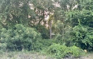 待售: $14,900 (0.21 acres)