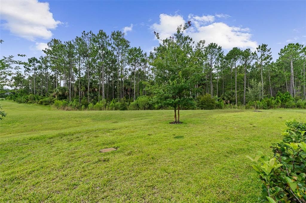 For Sale: $398,900 (3 beds, 3 baths, 2137 Square Feet)