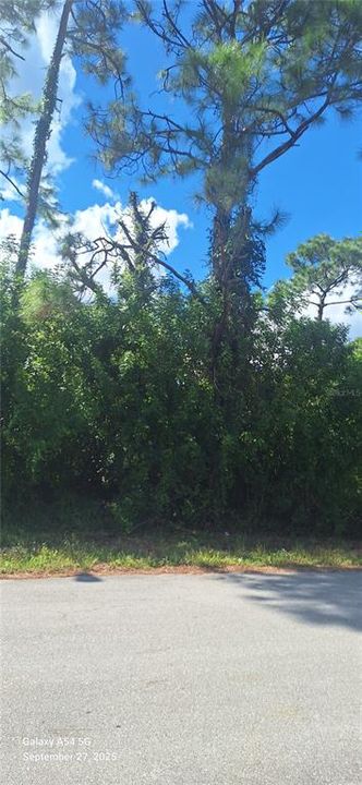 На продажу: $16,900 (0.23 acres)