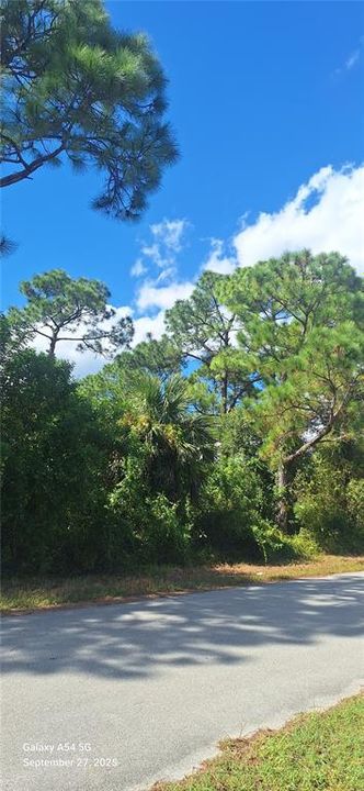 На продажу: $16,900 (0.23 acres)