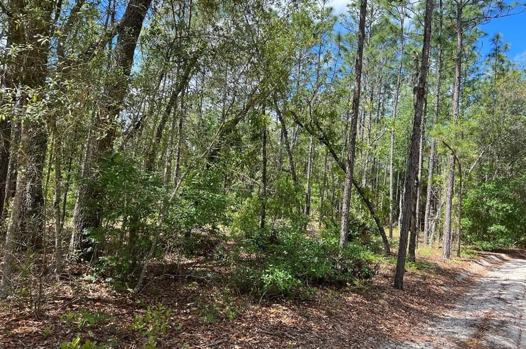 En Venta: $199,900 (10.00 acres)