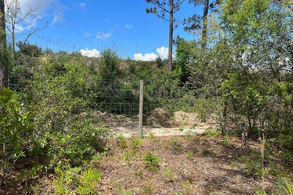 En Venta: $199,900 (10.00 acres)