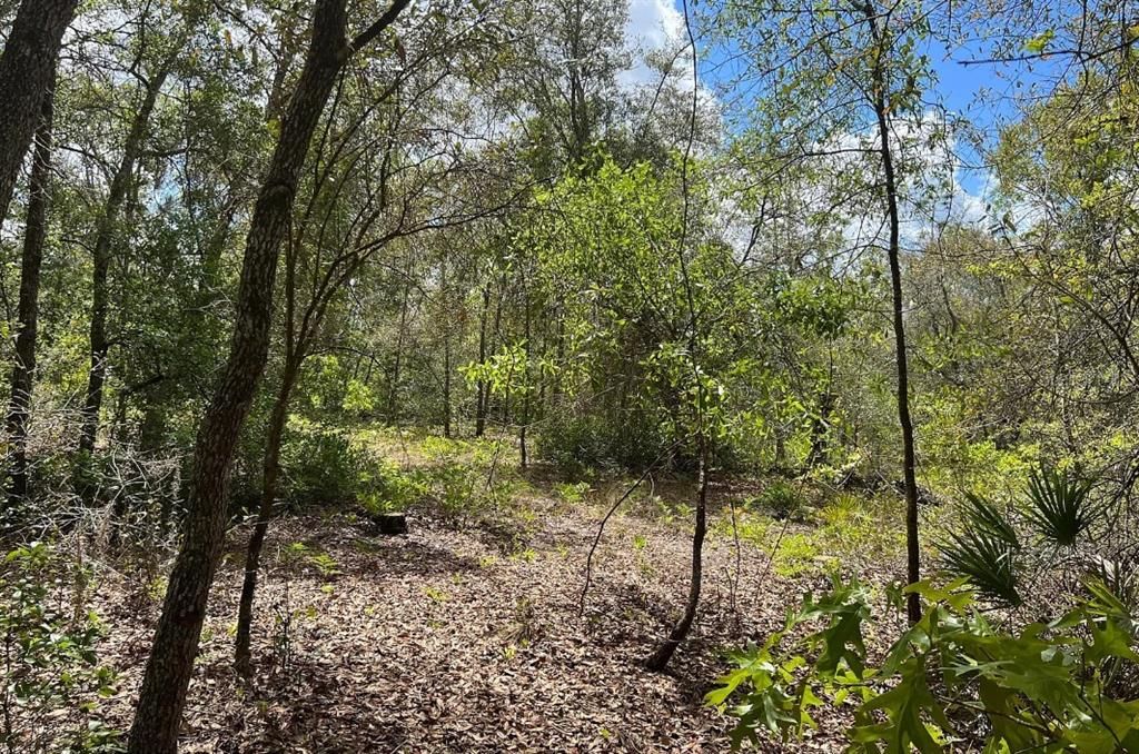 En Venta: $199,900 (10.00 acres)