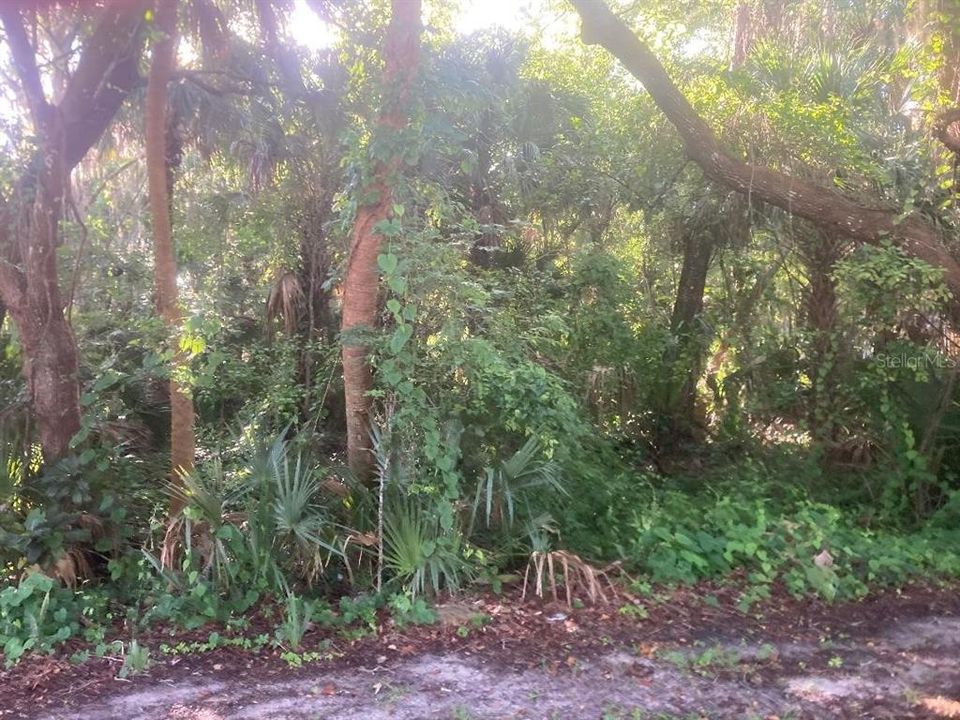 For Sale: $28,000 (0.21 acres)