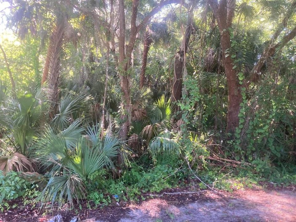 For Sale: $28,000 (0.21 acres)