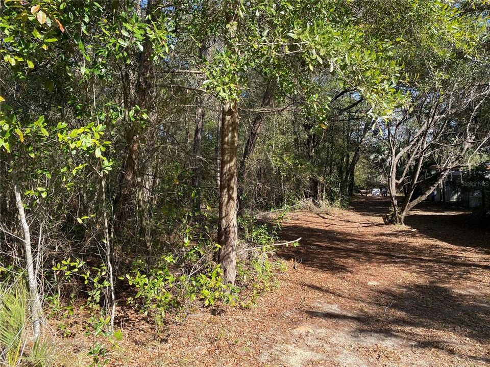 На продажу: $11,900 (0.24 acres)