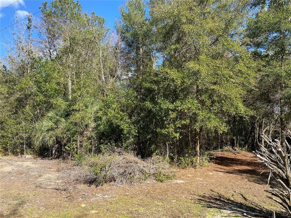 На продажу: $11,900 (0.24 acres)