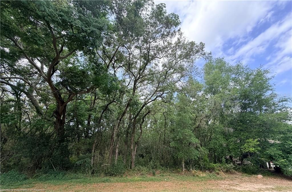 En Venta: $39,900 (0.36 acres)