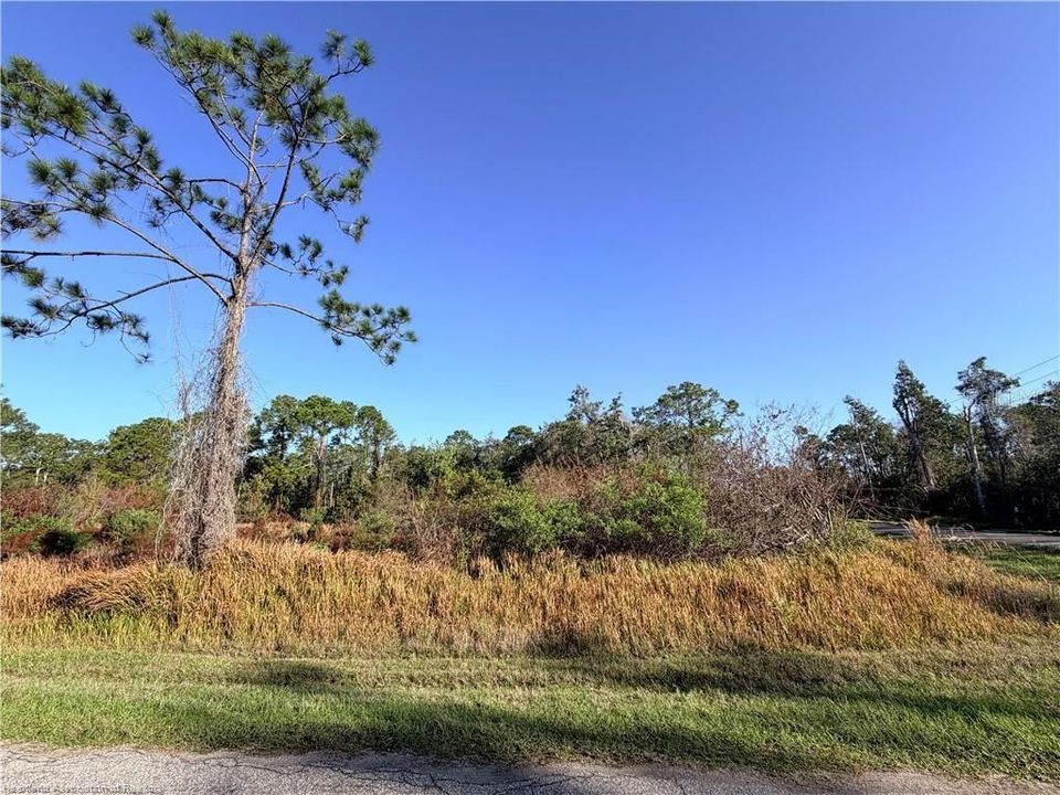 На продажу: $40,000 (0.30 acres)