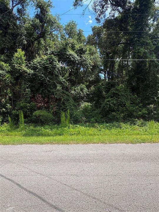 待售: $50,000 (1.40 acres)