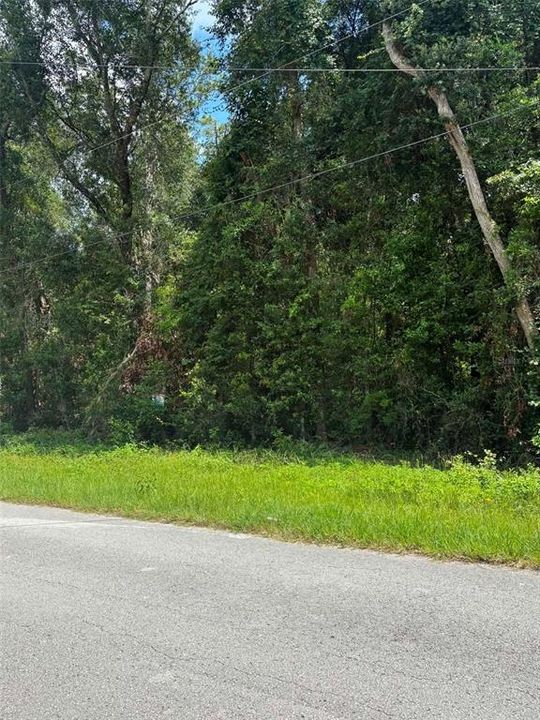 待售: $50,000 (1.40 acres)