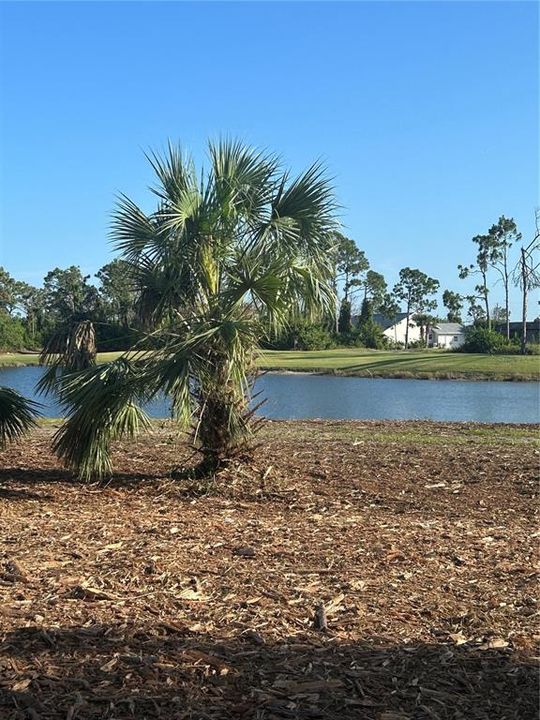 En Venta: $105,500 (0.25 acres)