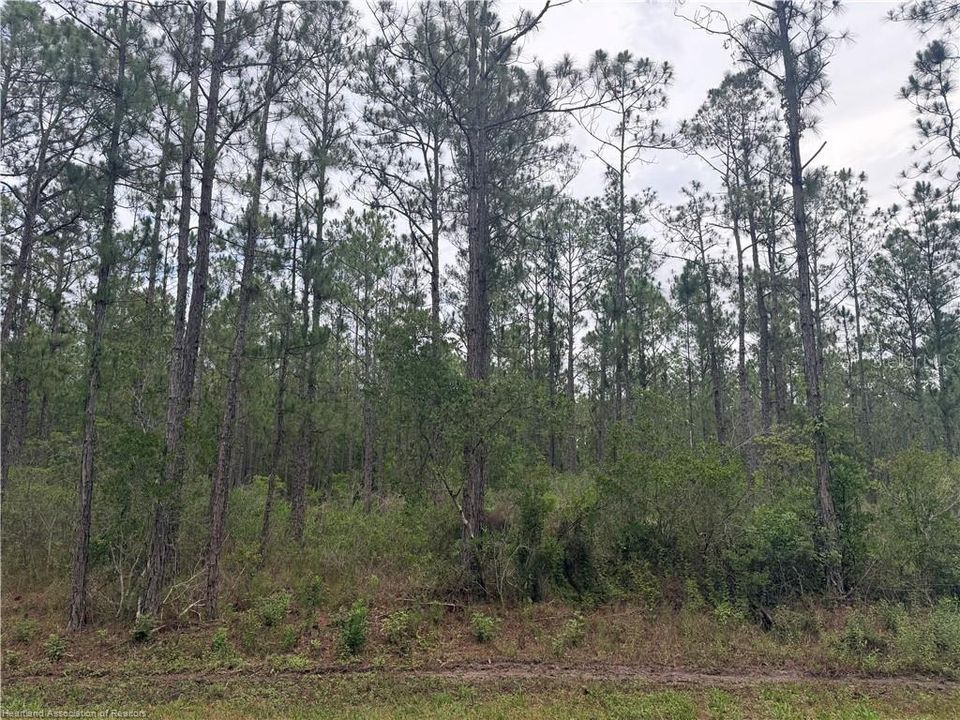 For Sale: $28,000 (0.59 acres)