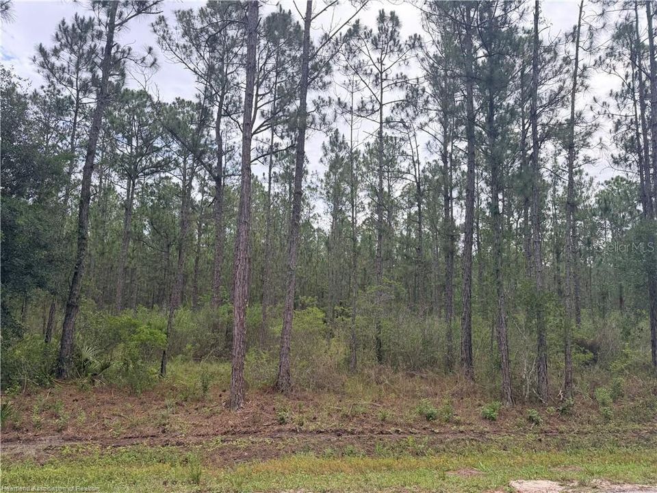 For Sale: $28,000 (0.59 acres)