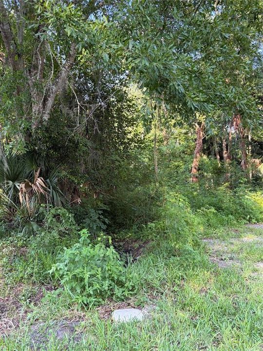 На продажу: $325,000 (1.39 acres)