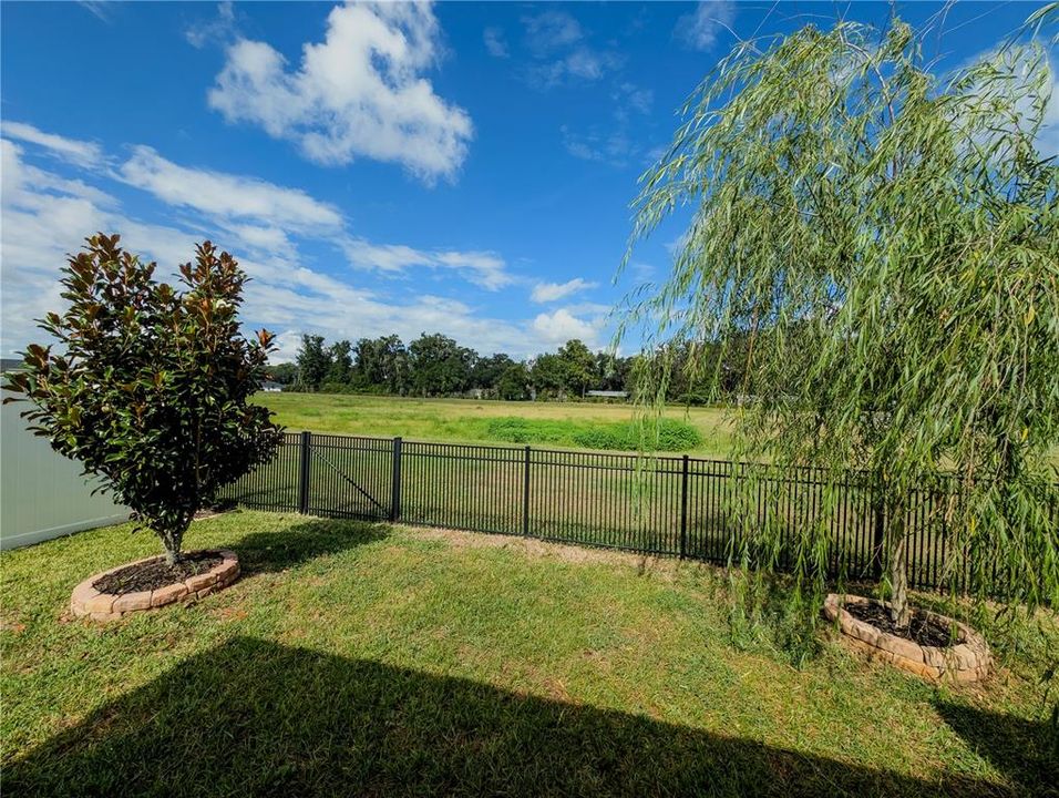 For Sale: $287,500 (3 beds, 2 baths, 1740 Square Feet)