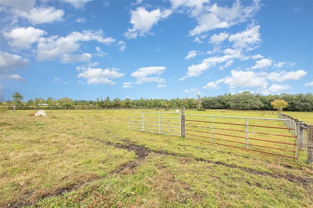 На продажу: $899,999 (10.00 acres)
