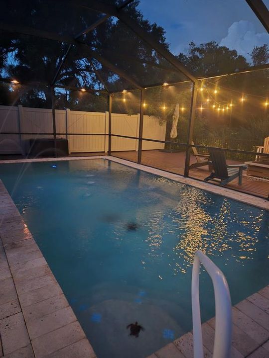 For Sale: $445,000 (3 beds, 2 baths, 967 Square Feet)