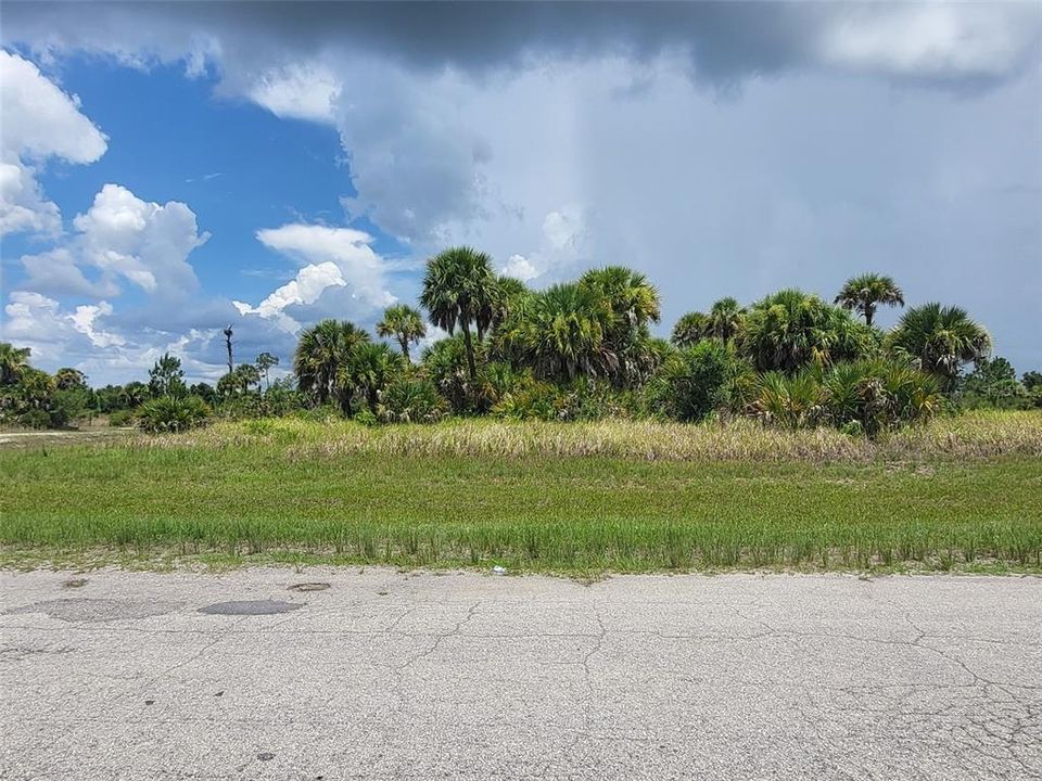 For Sale: $15,000 (0.35 acres)