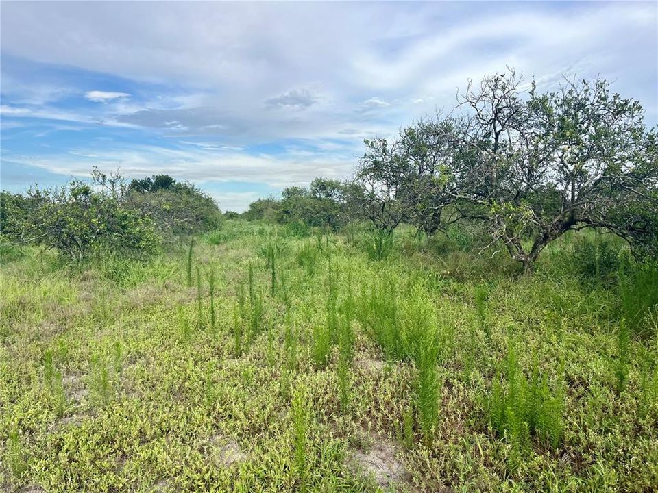 En Venta: $325,000 (24.88 acres)